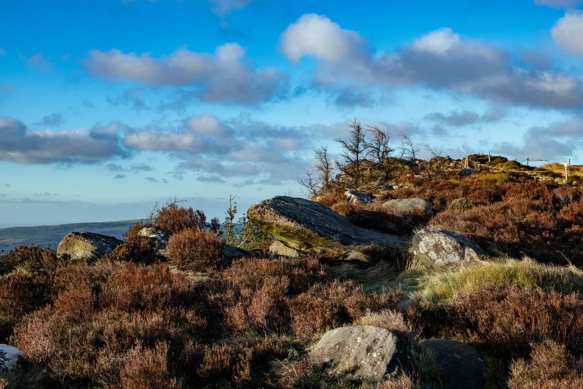 A gritstone edge broken into blocks, with heather and bracken between them.